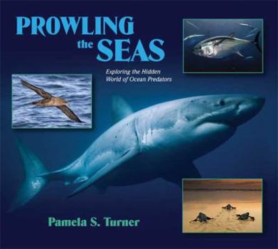 Hardcover Prowling the Seas: Exploring the Hidden World of Ocean Predators Book