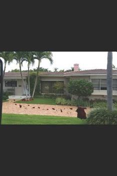 SANG NOIR: Trace l'arbre généalogique