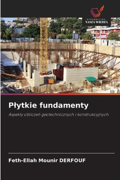 Paperback Plytkie fundamenty [Polish] Book