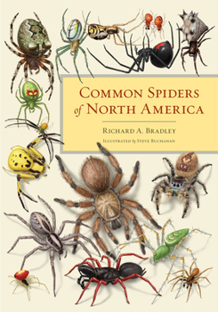 Paperback Common Spiders of North America Book