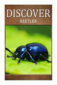 Paperback Beetles - Discover: Early reader's wildlife photography book