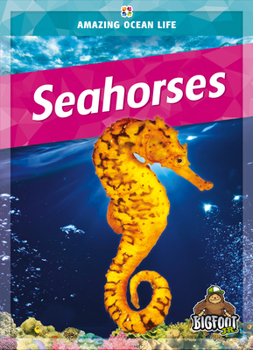 Hardcover Seahorses Book