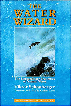 The Water Wizard: The Extraordinary Properties of Natural Water - Book  of the Eco-Technology