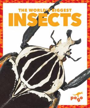 Paperback The World's Biggest Insects Book