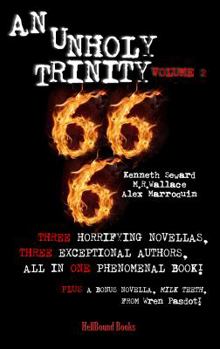 Paperback An Unholy Trinity: Volume 2 Book