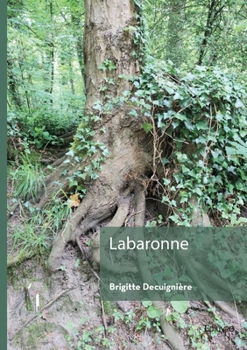 Paperback Labaronne [French] Book