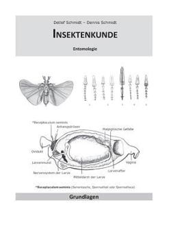 Paperback Insektenkunde: Entomologie [German] Book
