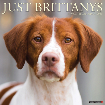 Calendar Just Brittanys 2022 Wall Calendar (Dog Breed) Book
