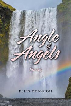 Paperback Angle of Angels Book