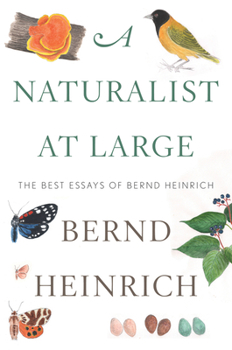 Hardcover A Naturalist at Large: The Best Essays of Bernd Heinrich Book