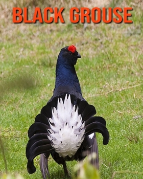 Paperback Black Grouse: Fun Learning Facts About Black Grouse Book