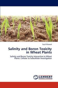 Paperback Salinity and Boron Toxicity in Wheat Plants Book