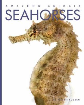 Paperback Seahorses Book