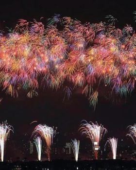 Paperback Survival guide to life in Japan Book