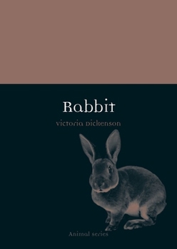 Paperback Rabbit Book