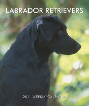 Diary Labrador Retrievers 2011 Hardcover Weekly Eng Book