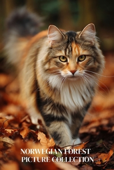 Norwegian Forest Cat Photo Collection: Majestic Full-Page Pictures of Norwegian Forest Cats and Kittens for All Ages (Calming Nature Books).
