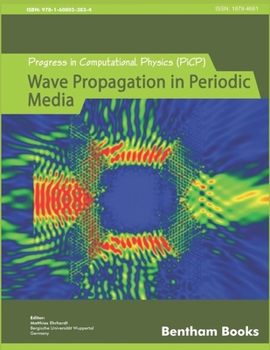 Paperback Progress in Computational Physics (PiCP): Coupled Fluid Flow in Energy, Biology and Environmental Research Book