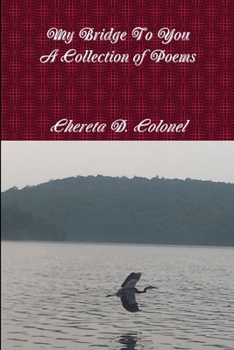Paperback My Bridge To You Book
