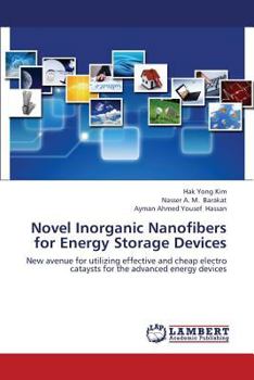 Novel Inorganic Nanofibers for Energy Storage Devices: New avenue for utilizing effective and cheap electro cataysts for the advanced energy devices