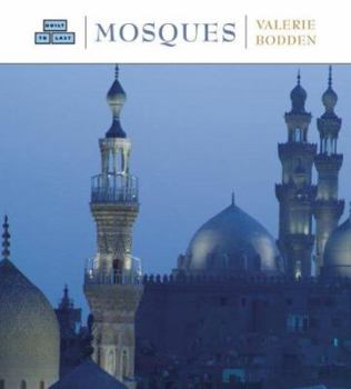Mosques (Built to Last) - Book  of the Built to Last