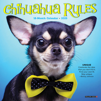 Calendar Chihuahua Rules 2025 7 X 7 Mini Wall Calendar Book
