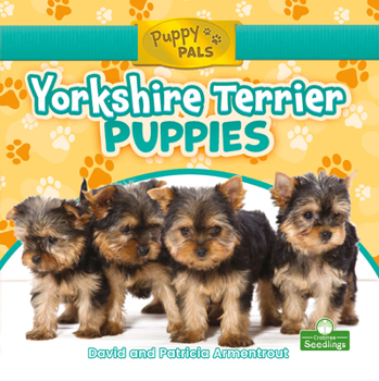 Paperback Yorkshire Terrier Puppies Book