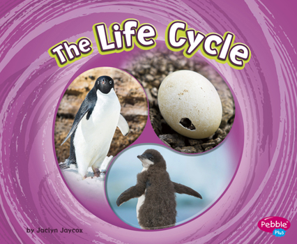 Paperback The Life Cycle Book