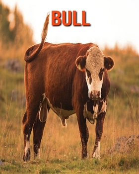 Paperback Bull: Incredible Pictures and Fun Facts about Bull Book