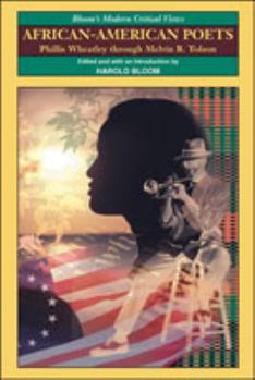 Hardcover African-American Poets: Phillis Wheatley Through Melvin B. Tolson Book