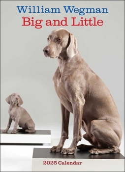 Calendar William Wegman Big and Little 2025 Wall Calendar Book