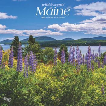 Calendar Maine Wild & Scenic 2025 12 X 24 Inch Monthly Square Wall Calendar Plastic-Free Book