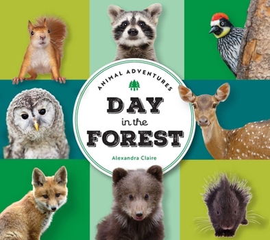Board book Animal Adventures: Day in the Forest Book