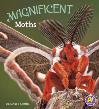 Magnificent Moths - Book  of the Bugs Are Beautiful!