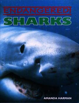 Hardcover Sharks Book