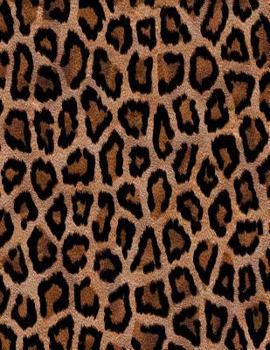Paperback Leopard Print Notebook: 8.5 X 11 202 College Ruled Pages Book