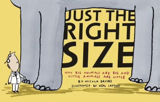 Hardcover Just the Right Size: Why Big Animals Are Big and Little Animals Are Little Book