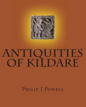 Paperback ANTIQUITIES of KILDARE: Guide To Book