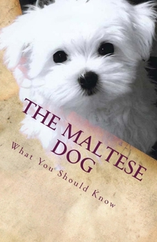 Paperback The Maltese Dog: What You Should Know Book