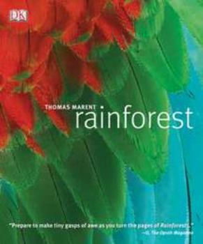 Paperback Rainforest Book