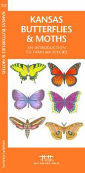 Kansas Butterflies & Moths: A Folding Pocket Guide to Familiar Species