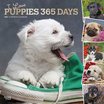 Calendar Puppies, I Love, 365 Days, 2021 Square Foil Book