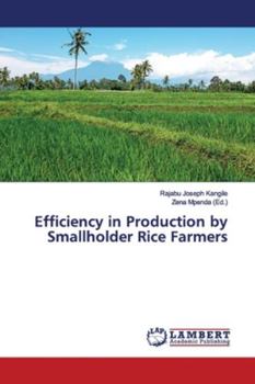 Paperback Efficiency in Production by Smallholder Rice Farmers Book