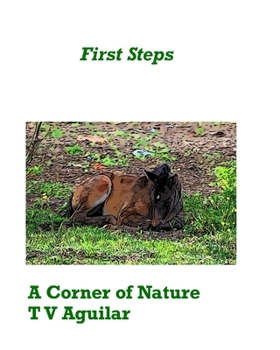 Paperback A Corner of Nature: First Steps Book