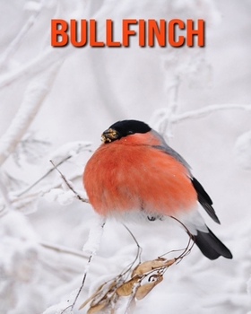 Paperback Bullfinch: Incredible Pictures and Fun Facts about Bullfinch Book