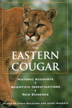 Paperback Eastern Cougar Book