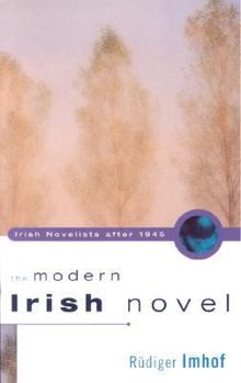 Paperback The Modern Irish Novel Book
