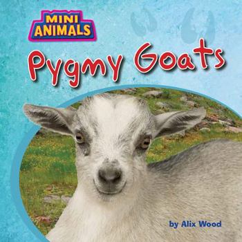 Pygmy Goats - Book  of the Mini Animals