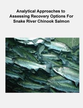 Paperback Analytical Approaches to Assessing Recovery Options for Snake River Chinook Salmon Book