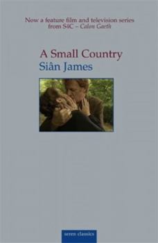 A Small Country (Seren Classics) - Book  of the Seren Classics